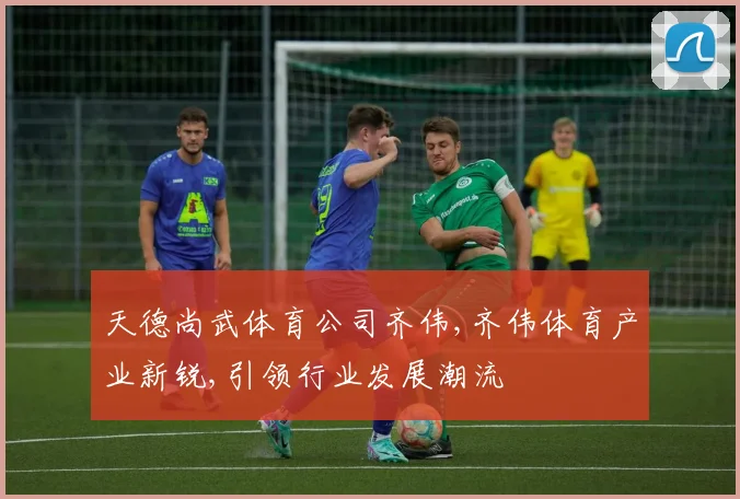 天德尚武体育公司齐伟,齐伟体育产业新锐,引领行业发展潮流