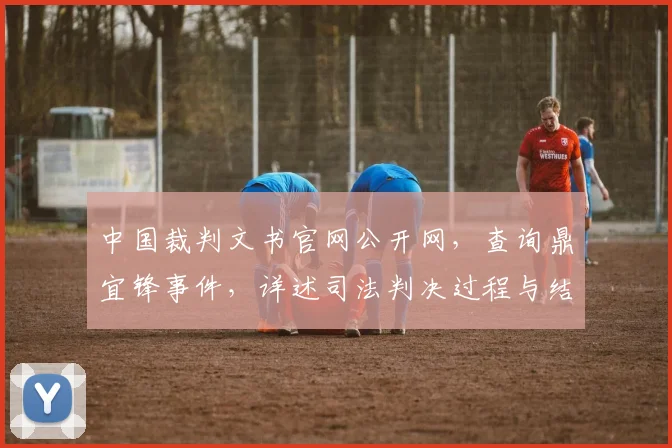 中国裁判文书官网公开网，查询鼎宜锋事件，详述司法判决过程与结果