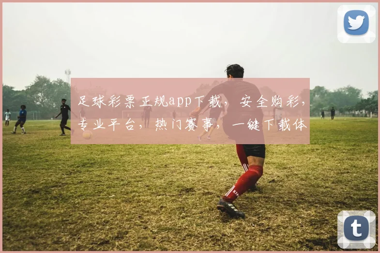 足球彩票正规app下载，安全购彩，专业平台，热门赛事，一键下载体验
