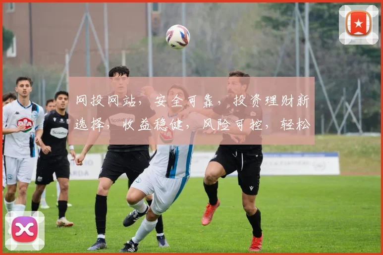 网投网站，安全可靠，投资理财新选择，收益稳健，风险可控，轻松赚钱两不误，投资必看